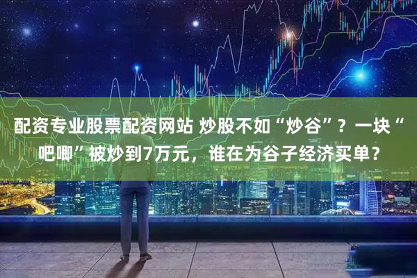 配资专业股票配资网站 炒股不如“炒谷”？一块“吧唧”被炒到7万元，谁在为谷子经济买单？