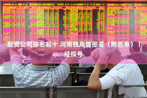 配资公司排名前十 河南独角兽图鉴（附名单）丨经探号